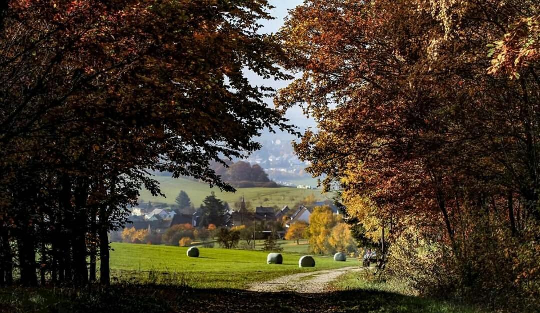 Ferienwohnung Alpaka Blick Schneppenbach Exterior foto