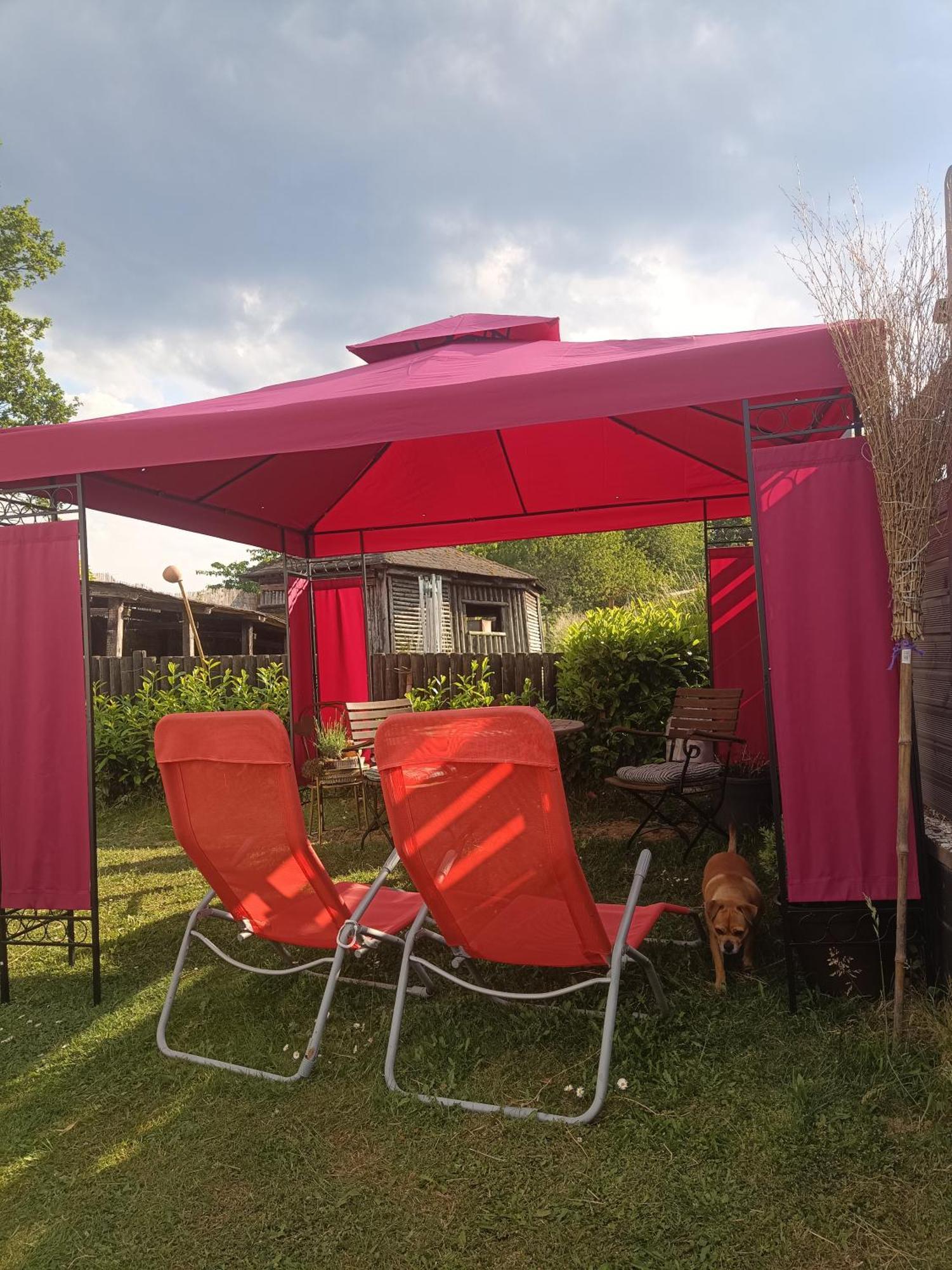 Ferienwohnung Alpaka Blick Schneppenbach Exterior foto